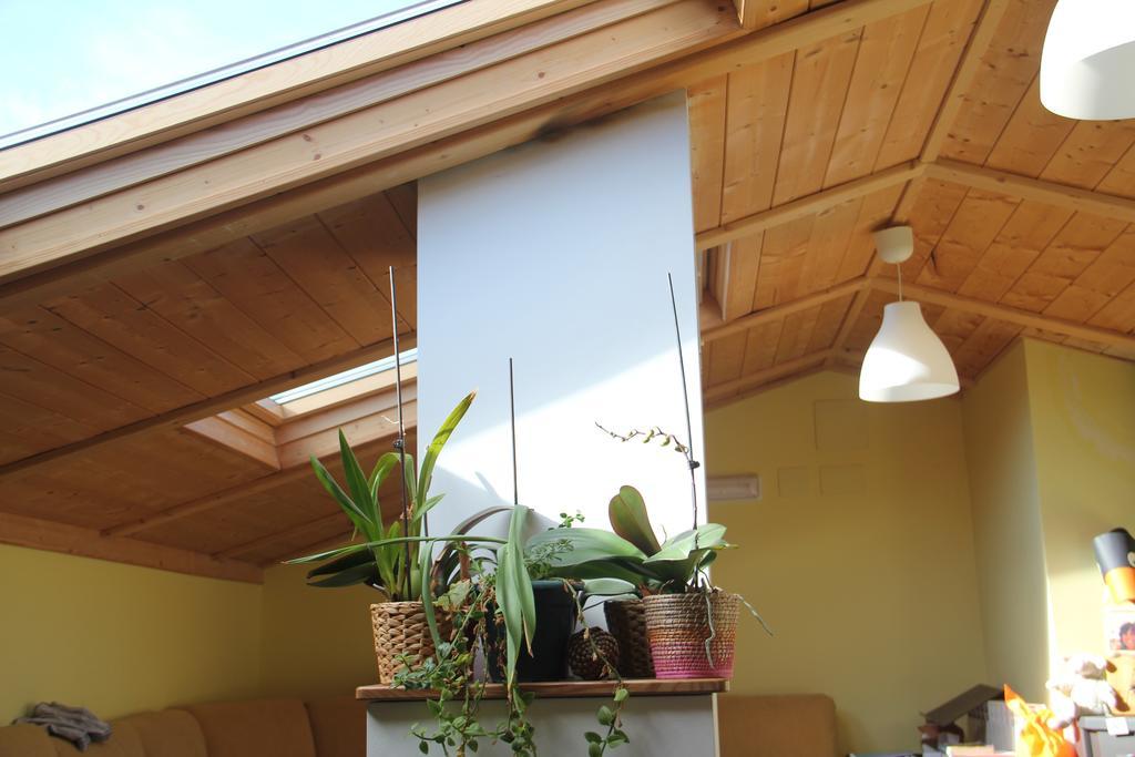 Hostel Curavacas Триольо Экстерьер фото